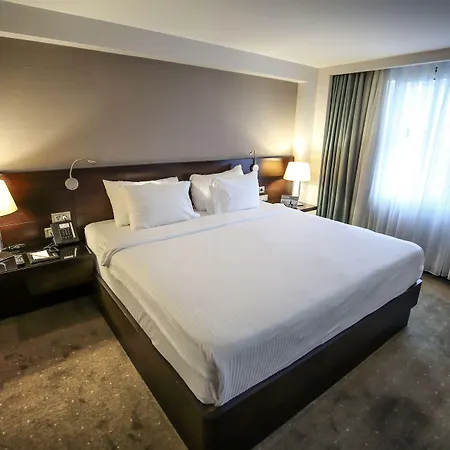 Dedeman Hotel Istanbul