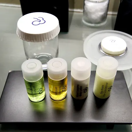 ديديمان فندق 5*