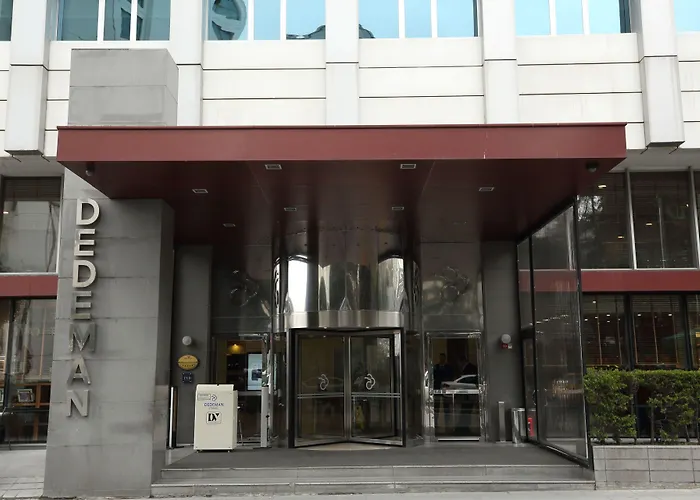 Dedeman Istanbul